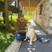 Nick Sykora - Facebook