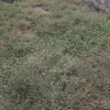 nick_taggart - @nick_taggart - TikTok