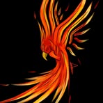 Nick Talbot - Facebook