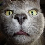 Nick Talbott - @ngtalbott - Instagram