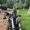 nicktanner01 - @nicktanner01 - TikTok