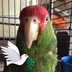 Nick Tapia - @nick.tapia.585 - Instagram