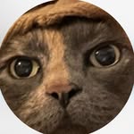 NIcholas Tarro - @nicktarro.spanish - Instagram