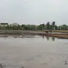 nicktata - @nicktata5 - TikTok
