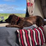 Nick Teague - @nickpteague - Instagram