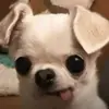 Ánicka Tejada :b - @nicka.tejada.b - TikTok