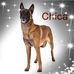 Nick Thayer - Facebook