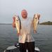 Nick Thayer - Facebook