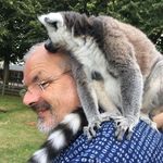 Nick Thurston - @segdude - Instagram