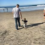Nickolas Tilton - @nickolastilton - Instagram