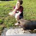 Nicholas Tocco - Facebook