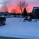 Nick Tocco - @taco.nick - Instagram
