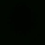 Nick Todde - @nick_todde - Instagram
