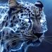 Nick Totten - Facebook