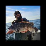Nick Traina - @nick_traina7 - Instagram