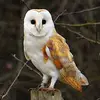 Nick Trott - @nick.trott4 - TikTok
