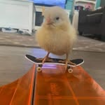 Nick van Uden - @vanudennick - Instagram
