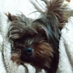 @nick_valverde_ - Instagram