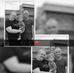 Nicky Verhoef - Facebook