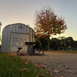 Nicholas Vogel - @nick_vogel_p - Instagram