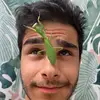 Nick Volpe - @nicklovesbugs - TikTok