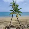 nickvon - @nickvon0 - TikTok