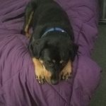 Nick Waite - @nick.waite.7737 - Instagram