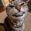 Nick - @nickk_warren - TikTok