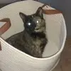 nickwarren557 - @nickwarren557 - TikTok