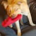 Nick Waterman - Facebook