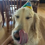 Nick Watt - @nickwatt2 - Instagram