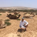 @nickwatts_21 - Instagram