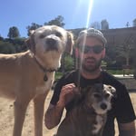 Nick Webster - @nicholasdub - Instagram