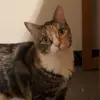 Nick Webster - @nick.webster50 - TikTok