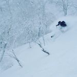 Nick Weeden - @nwweeden - Instagram