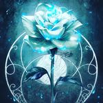 Nick Weimer - @pure_roses_garden - Instagram
