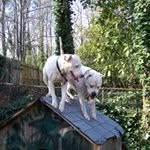 Nick Westbrook - @westbrook.nick - Instagram