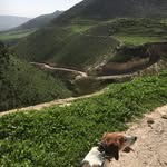 Nicholas Wexler - @nicholaswexler - Instagram