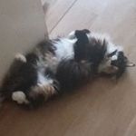 Nick Whaley - @whaley.nick - Instagram