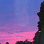 Nickwhaley - @nick_whaley42 - Instagram
