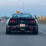Nick - @whippled.nick - Instagram