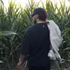 nickwhipple - @nickwhipple_ - TikTok