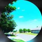 Nick Whitfield - @killer_nick_nick - Instagram