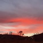Nick Whitney - @nick_whitney09 - Instagram