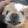 nickwhitney38 - @nickwhitney38 - TikTok
