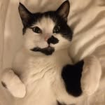 Nick Wiggins - @nick.wiggins.skye - Instagram