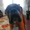 Nick_Wildman - @nick_wildman - TikTok
