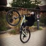 Nick Wilhelm - @nick.wilhelm.11 - Instagram