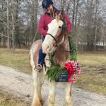 Nick Wilhelm - @nbwilhelm - Instagram