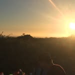 Nick Wilhelm - @nickwonthelm - Instagram